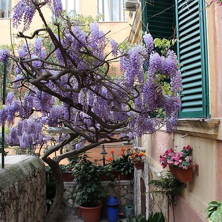 Hotel Pavia Roma Exterior foto