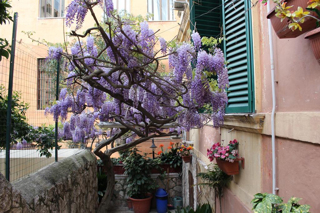 Hotel Pavia Roma Exterior foto